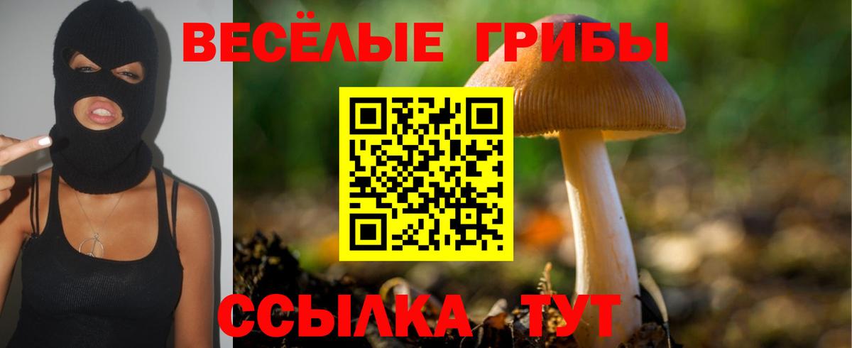 Галлюциногенные грибы прущие грибы Первоуральск